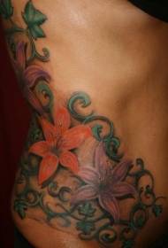 warna pinggang lily dan pola tato ivy