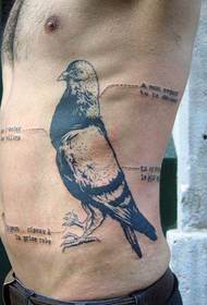 men's side ribs with a commentary on the pigeon tattoo pattern