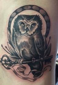 Buaileann buachaillí Tattoo owl ar pictiúir tattoo owl