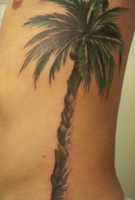 male waist side color realistic palm tree tattoo pattern