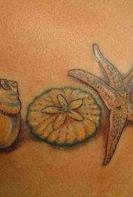 pinte bella petra è mudellu di tatuaggi di stelle marine
