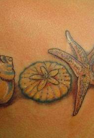 bellissimo dipinto con conchiglia e stelle marine