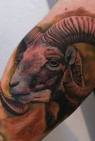 نماد خال کوبی گوسفند نقاشی شده