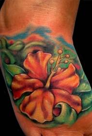 Oranje hibiscus-tatoeagepatroon op de wreef