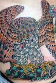 barriga Old school pintado padrão de tatuagem de águia