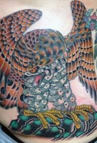 pancia Tatuaggio di aquila dipinto di vecchia scuola