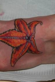 oranje off-the-shape zeesterentattoopatroon