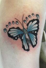 indietro meraviglioso modello di tatuaggio baby farfalla blu