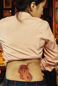 bella vita solo bella foto di serpente tatuaggio modello
