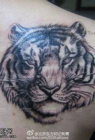 ombreiro maxestoso patrón de tatuaxe de tigre