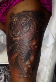 ben realistiska färg tiger tatuering bild