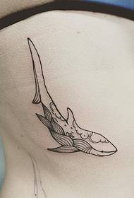 Meiteņu puses vidukļa līnija ir vienkārša un maza Svaigu haizivju tetovējuma shēma