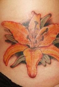 cintura cor realista Lily flor tatuagem padrão