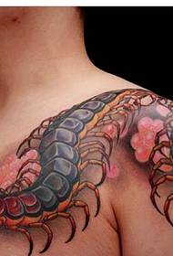 een over schouder 3d 蜈蚣 tattoo tattoo is zeer realistisch