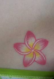 Ніжна кольорова татуювання квітковий візерунок на талії