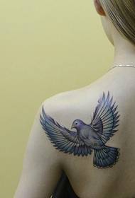 gjithnjë fotografia e tatuazheve të pëllumbave bie mbi shpatullën e vajzës 上