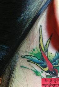Η ταμπέλα εμφάνισης τατουάζ συνιστά ένα σχέδιο τατουάζ στο χέρι μετά το αυτί