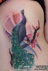 A cintura das mulheres é um belo padrão de tatuagem de pavão de cor