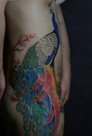 boční pas Pýcha samobarevného pavího tetování