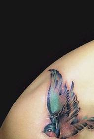 colored bird tattoo on the shoulder