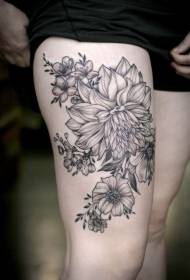 pola tato tanduran dahlia ireng pupu