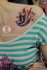 jente Farge lite svelge tatoveringsmønster på skulderen