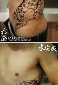 tigre maschile prepotente in vita sul fianco del modello di tatuaggio di montagna