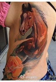 belo lado do belo padrão de tatuagem de cavalo de cor europeia e americana