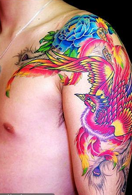 xale cor phoenix flor tatuagem padrão