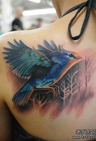 modello del tatuaggio dell'uccello di colore della spalla delle ragazze