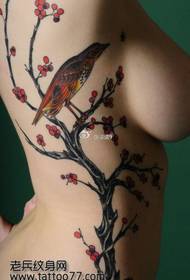 ຄວາມງາມຂ້າງແອວແອວ magpie plum tattoo ຮູບແບບ