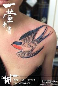 modello di tatuaggio bella piccola rondine sul petto della ragazza