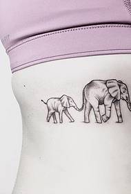 disegno del tatuaggio elefante con spina a punto fresco in vita laterale