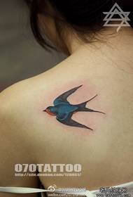 girls shoulder color small swallow tattoo pattern