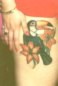 dij kleurde papegaai mei lily tatoeëerd patroan
