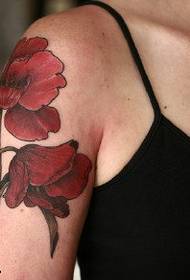 horké mák tetování vzor na rameni