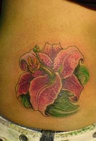 taille kleur alpine lelie tattoo patroon