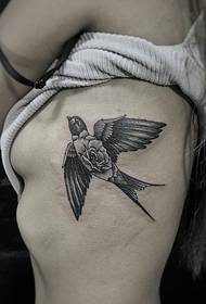një model tatuazhi i vogël swallow në anën e belit  115344 @ tatuazh kinez i tatuazhit në anën e belit