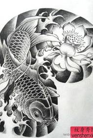 figura del tatuatge, manuscrit de mitja longitud, carpa de lotus