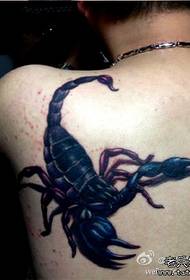 Amadoda amahlombe apholileyo e-scorpion tattoo pateni