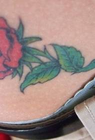 color natural patró de tatuatge de roses