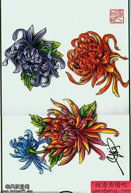 un manoscritto del tatuaggio del crisantemo di colore funziona dalla figura del tatuaggio Condividiamo