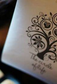 La barra dello spettacolo del tatuaggio ha raccomandato un modello manoscritto del tatuaggio dell'albero