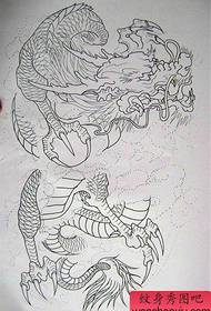 Manoscritto drago scialle 5