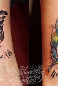 Tetovanie ukázať obrázky zdieľať pár perie tetovanie vzor