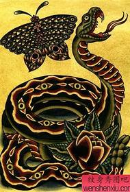 Тату-шоу Порекомендуємо візерунок татуювання зміїного метелика
