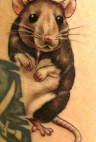 un ensemble de tatouage 12 tatouage souris Zodiac の fonctionne par tatouages