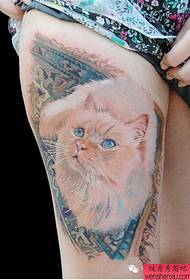 cat ad group of tattoos