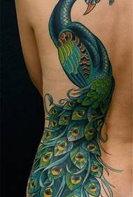 figura za tetovažu preporučila je set djela za tetoviranje pauna