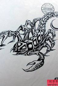 紋身人體圖吧推荐一套黑白風格的蝎子紋身作品